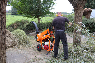 man working with a woodchipper to shred willow branches into a pile of wood chips