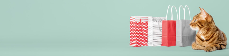 Bengal cat with paper shopping bags on a green background.