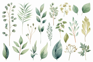 Fototapeta na wymiar The digital watercolor illustration of various green, blue, and brown leaves with flowers plants patterns for decoration isolated on a white background, generated by AI.