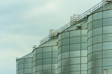 silver silos on agro manufacturing plant for processing drying cleaning and storage of agricultural products, flour, cereals and grain. Large iron barrels of grain. Granary elevator