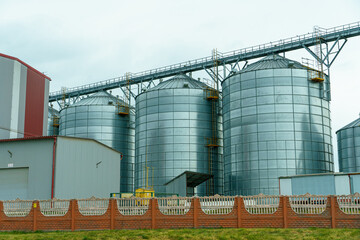 silver silos on agro manufacturing plant for processing drying cleaning and storage of agricultural products, flour, cereals and grain. Large iron barrels of grain. Granary elevator