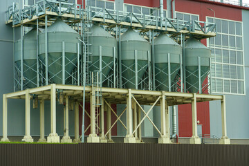 silver silos on agro manufacturing plant for processing drying cleaning and storage of agricultural products, flour, cereals and grain. Large iron barrels of grain. Granary elevator