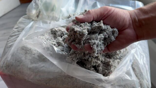 Cellulose insulation for walls and floors In hand. Recycled newsprint. Heat preservation and energy saving