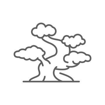 Bonsai tree icon. Simple outline style. Stylized, plant, nature, garden concept. Thin line symbol. Vector illustration isolated. Editable stroke.