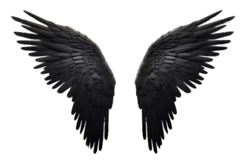 Foto op Canvas Archangel wing, Angel Wing, black angel wings on white background, Generative AI © MONWARA