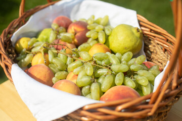 Grapes and apples in basket. Fruits in autumn. Harvest in garden.