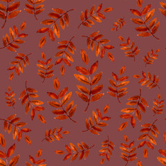 Seamless Pattern of autumn watercolor picturesque rowan leaves on dark pink background.  A set of patterned elements for the design of fabric, gift wrapping paper, wallpaper in  fall colors