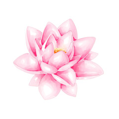 Watercolor pink lotus png transparent background