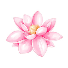 Watercolor pink lotus png transparent background