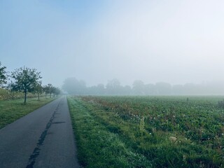 Fototapeta na wymiar Foggy countryside view, rural landscape, mist on the field