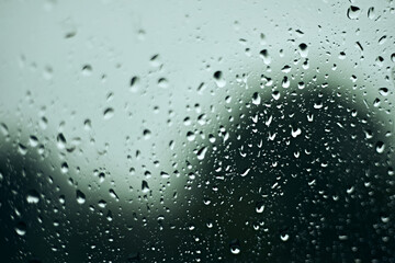 Rain drops on window, with trees and leaves outside.