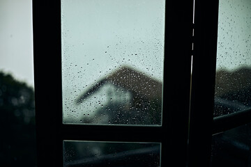 Rain drops on window, with trees and leaves outside.