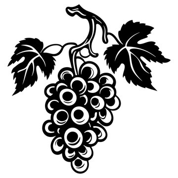 Grapevine Silhouette, Sketchy Hand Drawn Brushed Wine Grapes Elements - Brushes Included