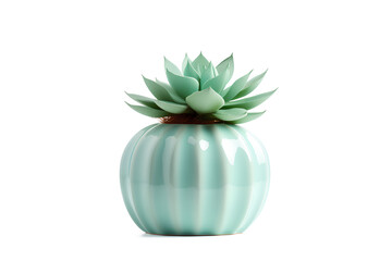 Green succulent in a teal ceramic vase isolated on a transparent background, Generative AI