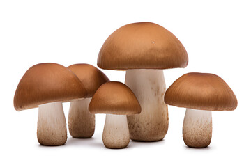Group of brown cap boletus edulis isolated on a transparent background, Generative AI