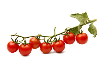 A high-quality photo of a tomato branch on a transparent background, Generative AI