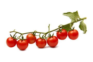 Fotobehang A high-quality photo of a tomato branch on a transparent background, Generative AI © MONWARA