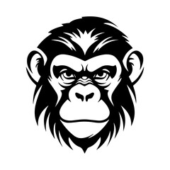 chimpanzee vector drawing. Isolated hand drawn object, engraved style illustration