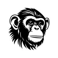 chimpanzee vector drawing. Isolated hand drawn object, engraved style illustration