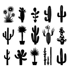 set of cactus