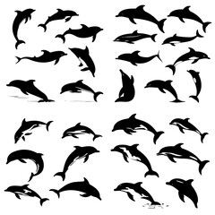 silhouettes of dolphins