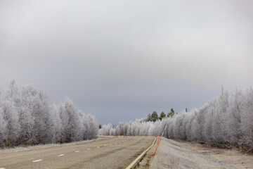 Obraz na płótnie Canvas Rovaniemi, Finland The northbound E75 highway and forest.