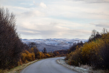 Utsjoki, Finland A rural road in Finnish Lapland in the early morning.