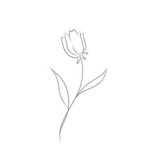 Flower in the garden. Flower illustration in line art style. Rose flower in line art style. Rose flower in line art style.