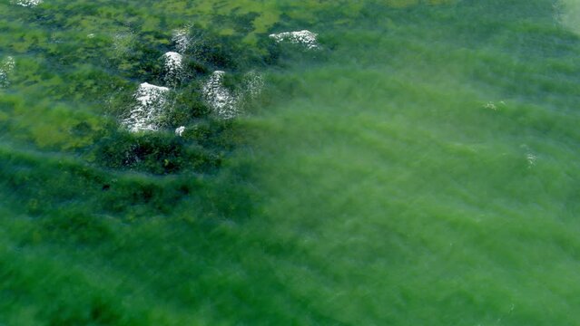 Aerial View of Coastal Beauty Along the Baltic Sea's Seashore