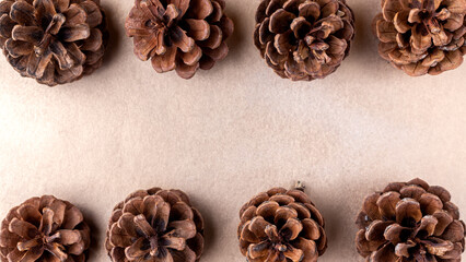 New Year's background with pine cones. Congratulations card.