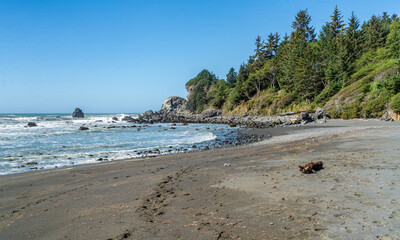California Coast Landscape 2