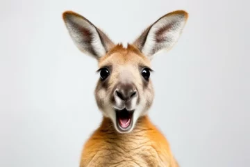 Foto auf Acrylglas Happy surprised kangaroo with open mouth © vlntn