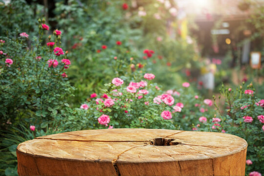 Empty old tree stump table top with blur rose garden background for product display