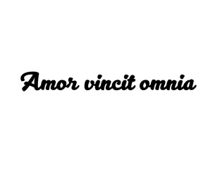 Vector isolated text latin phrase Amor vincit omnia in a beautiful font colorless black and white contour line easy drawing