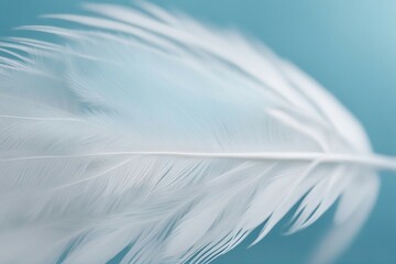 Close-up of Soft, Fluffy White Feather Isolated on Blue Background