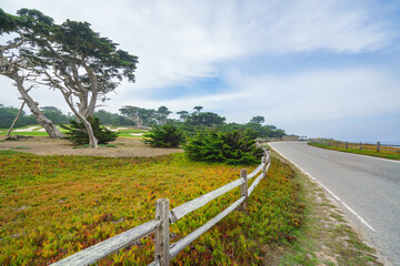 Scenic road 17 Mile Drive through Pacific Grove and Pebble Beach in Monterey, California Central...
