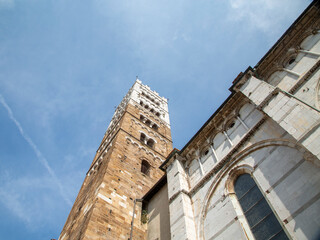 Guinigi tower in Lucca