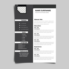 Professional Resume CV vector Graphic Templates