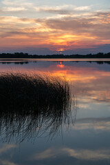 Colorful summer sunset  with reflection of clouds and trees in silhouette at North Turtle Lake in Minnesota, USA
