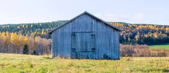 old barn in the field