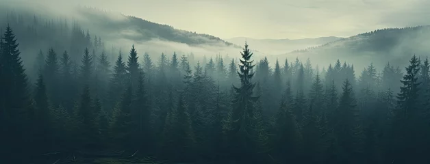Foto auf Acrylglas Wald im Nebel a fog-draped fir forest, evoking a sense of nostalgia and mystery.
