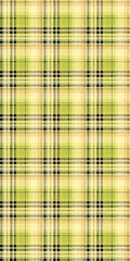 Plaid seamless pattern.Pattern suitable for textile and graphic.