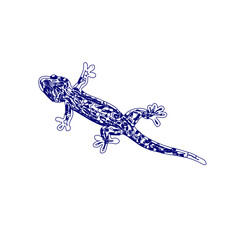 sketch of a lizard for elements in making logos and symbols
