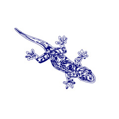 sketch of a lizard for elements in making logos and symbols