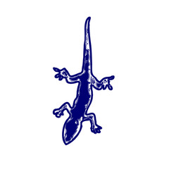 sketch of a lizard for elements in making logos and symbols