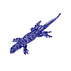 sketch of a lizard for elements in making logos and symbols
