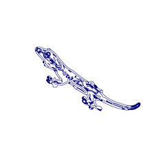 sketch of a lizard for elements in making logos and symbols