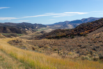 View from the top of the pass in autumn. Colorado, USA