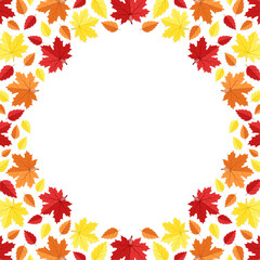 Vector round frame with copy space. Red, yellow and orange autumn leaves on white background.
