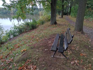 Holzbank am Seeufer unter Bäumen im Herbst